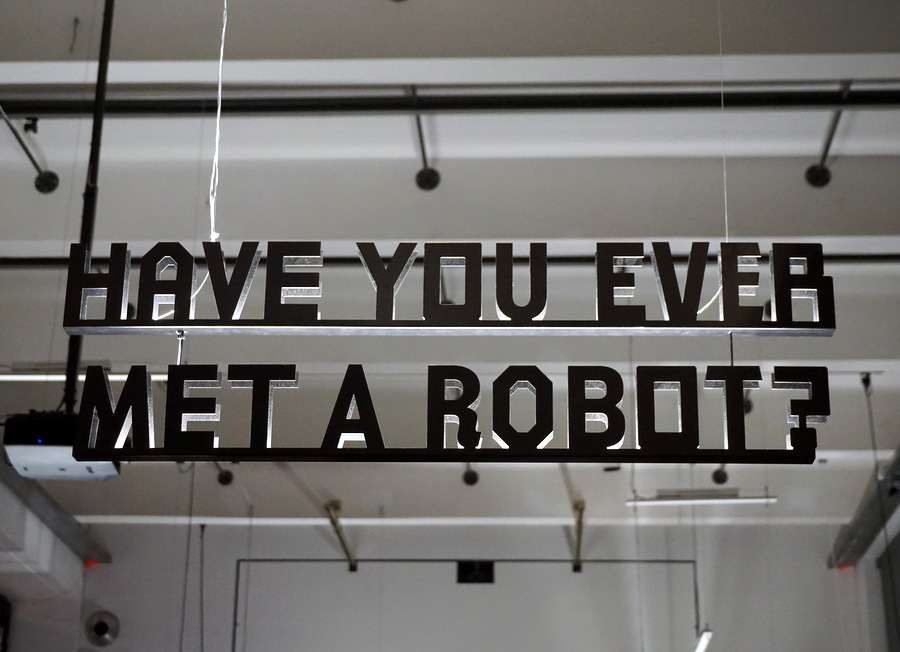 Have you ever met a robot